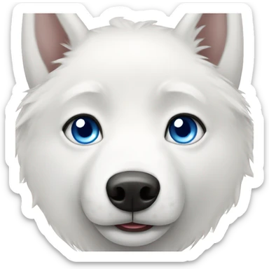White husky with one blue eye sticker