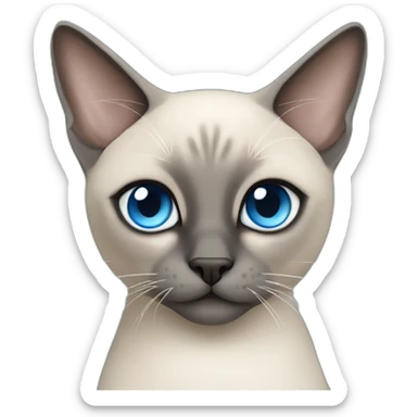 grey siamese cat with blue squint eyes sticker
