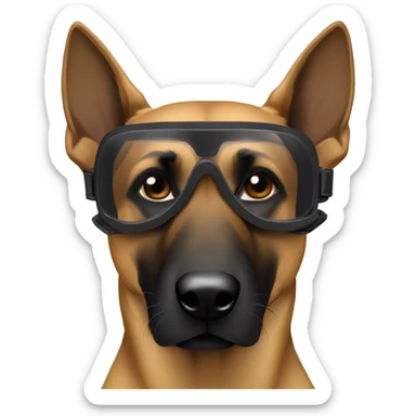 Tan Belgium malinois facing forward wearing black goggles sticker