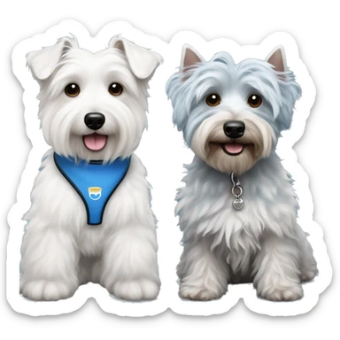 2 Dogs Side by side - one is a West Highland White Terrier and the other is a Blue Merle Miniature Poodle Mix sticker