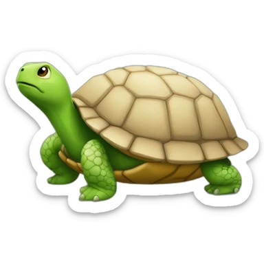 Pneu sur une tortue sticker