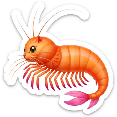 Cat as a shrimp  sticker