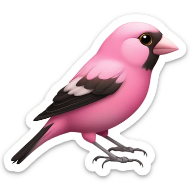 Pink finch sticker