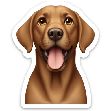 Brown Labrador  sticker