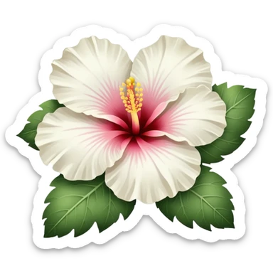 An white hibiscus sticker