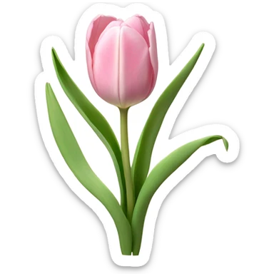 pastel pink tulips sticker