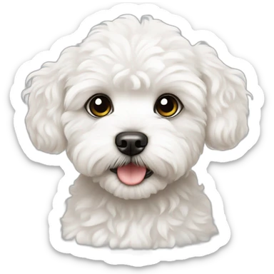 baby white maltipoo sticker