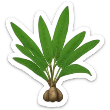 cassava sticker