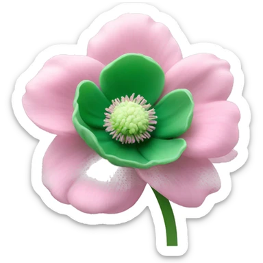 light pink anemone flower with green center sticker