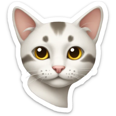 gato  sticker