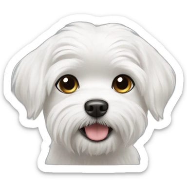 A WHITE MALTESE SMALL DOG CALLED SOUP sticker