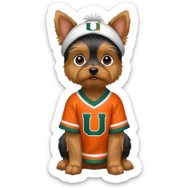 A sitting Yorkie with a Miami hurricanes jersey sticker