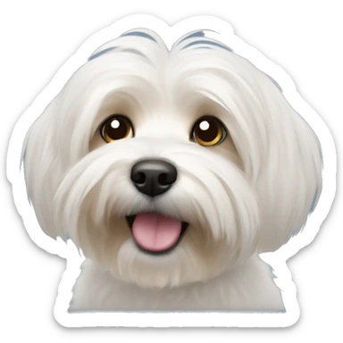 Havanese sticker