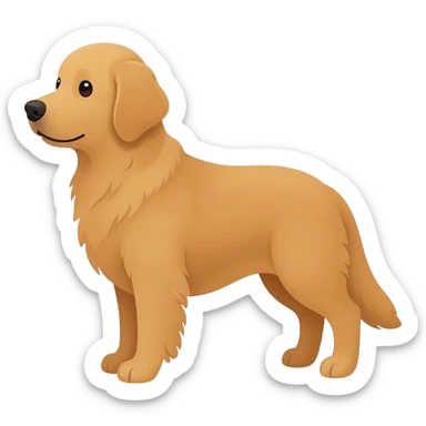 Golden retriever dog sticker