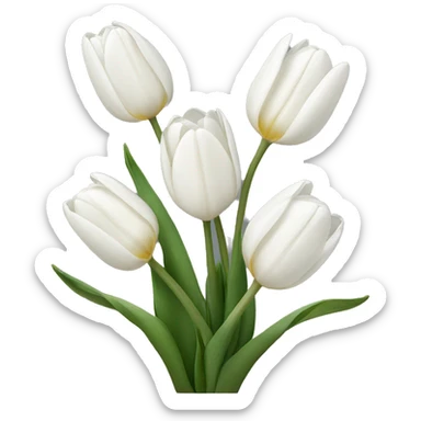 White tulips  sticker