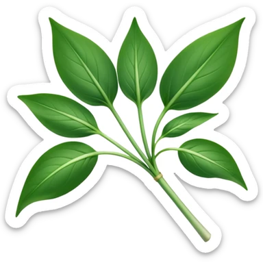 single sprig or small cluster of wild garlic leaves with smooth, elongated, lance-shaped blades, rich vibrant green color, soft central veins, fresh slightly glossy surface, gently arching from slender stems, no roots, no soil, no extras, apple emoji style, soft lighting, subtle shadows, emoji scale sticker