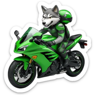 Gray wolf is riding on green Kawasaki ninja sticker