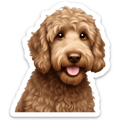 brown australian labradoodle sticker