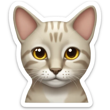 Gato sticker