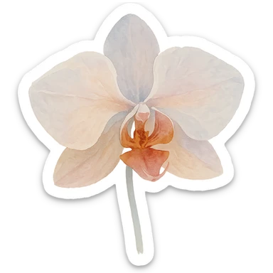 close-up of a detailed orchid, soft color transitions, intricate petal textures, expressive form, watercolor art style sticker