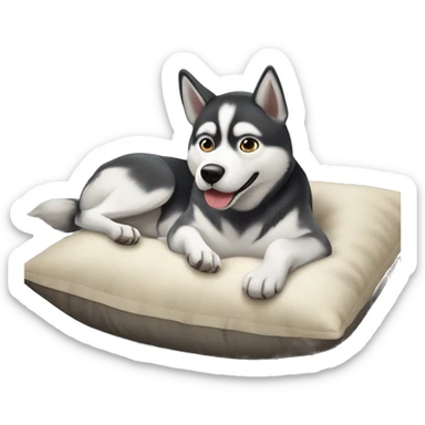 Husky dog lay on a pillow sticker