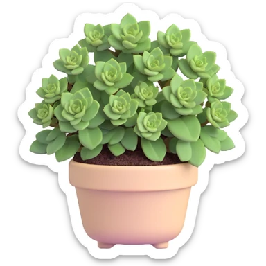 Sedum Pachyphyllum succulent with chubby blue-green leaves in a beige pot sticker