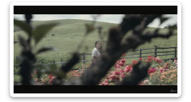 A portrait of a person in the foreground, blurred plants in the foreground (frame within a frame), a wooden fence and colorfull flowers in the midground, rolling hills in the background, cinematic depth of field, layered composition, natural lighting sticker