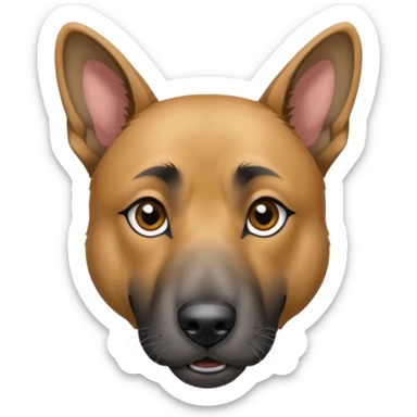 chien croisé malinois , yeux gris et poils mi long et gris sticker