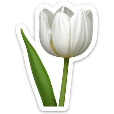 white tulip sticker