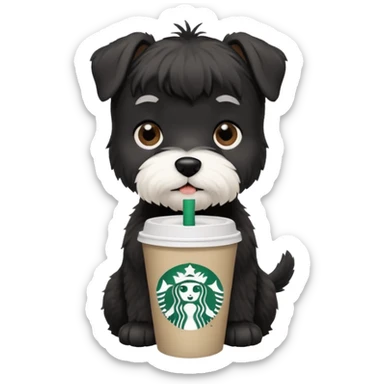Black schnauzer with a Starbucks cup sticker