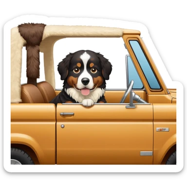 Bernese mountain dog in a cream colored ford bronco with no roof sticker