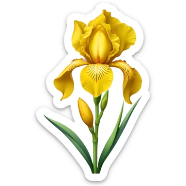 single Bright Yellow Iris, straight stem sticker