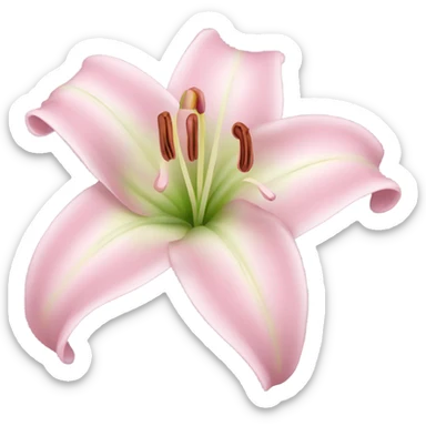 Lily flower baby pink sticker