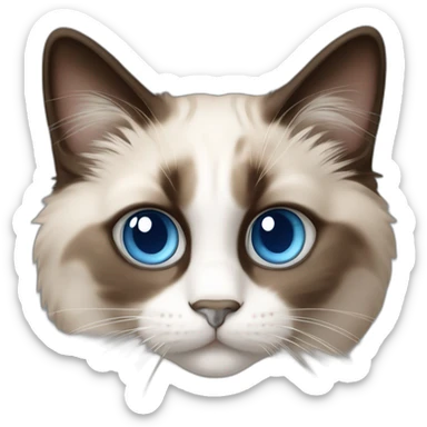 Blue eyed ragdoll cat with brown furr sticker