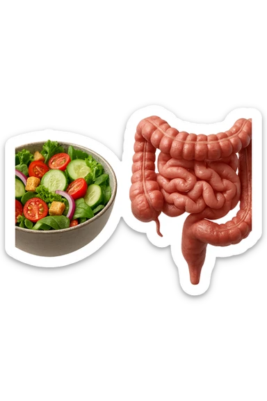 bowl di insalata fluttua in aria insieme ad intestino umano anatomico realistico, IPERREALISTICO 4K sticker