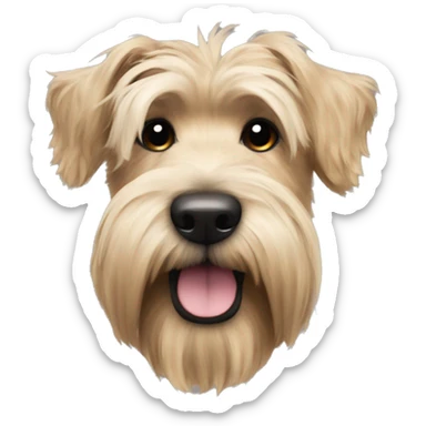 Wheaten terrier with long fluffy hair, dark ears and black chin sticker