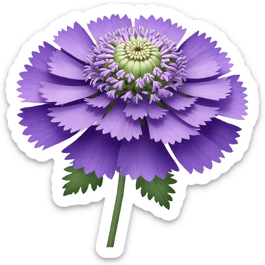 scabiosa sticker