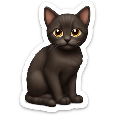 dark brown kitten sticker