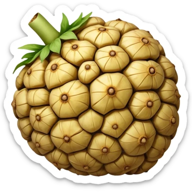 Jerusalem Artichoke  sticker