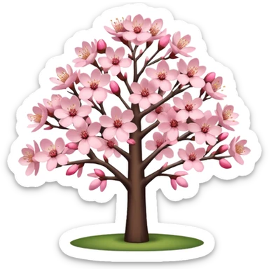Cerisier Japonais sticker