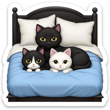 2 black cats and 1 black and white cat snuggled in bed  sticker