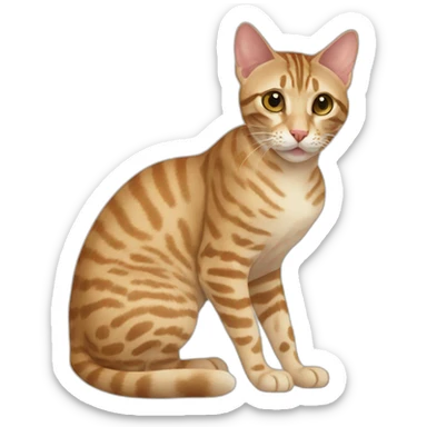 Ocicat sticker