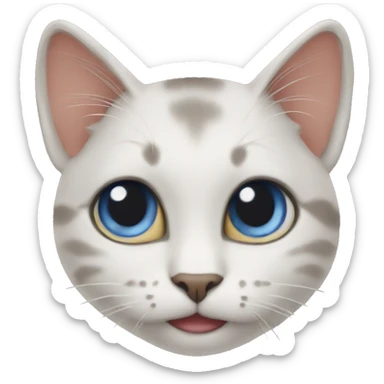 Cats  sticker