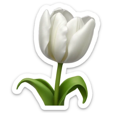 White tulip sticker