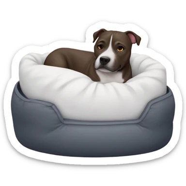 Staffie dog in small bed sticker
