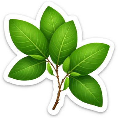 Guava leaves from the guava plant sticker