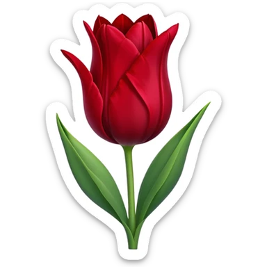 Dark red tulip sticker