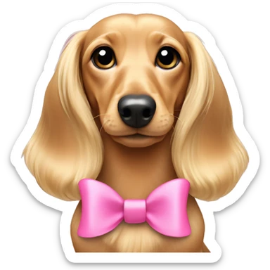 Blonde long hair dachshund puppy with pink bow sticker