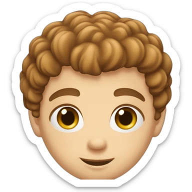 Garçon, cheveux bouclés,yeux marrons sticker