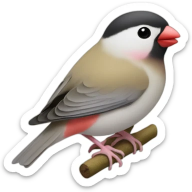 mochi java sparrow sticker